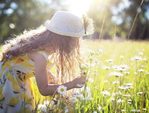 girl picking flowers